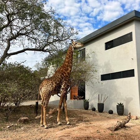 Birdsong Kruger Villa Marloth Park Eksteriør billede