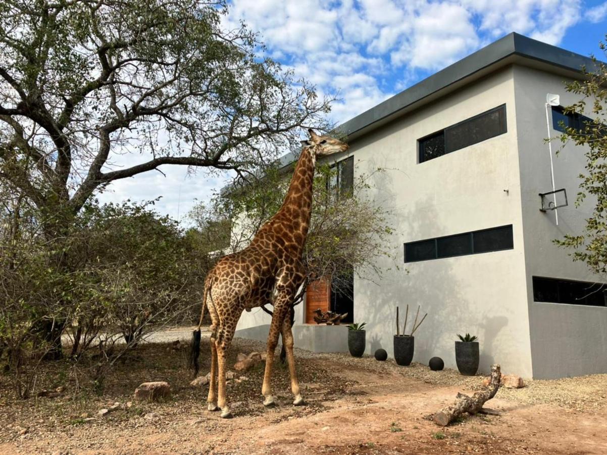 Birdsong Kruger Villa Marloth Park Eksteriør billede